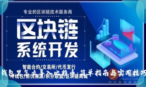 钱包里怎么导入比特币：简单指南与实用技巧