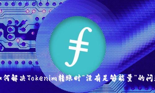 如何解决Tokenim转账时“没有足够能量”的问题