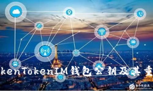 什么是TokenTokenIM钱包公钥及其重要性解读