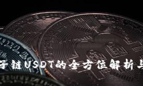 波宝钱包子链USDT的全方位解析与应用指南