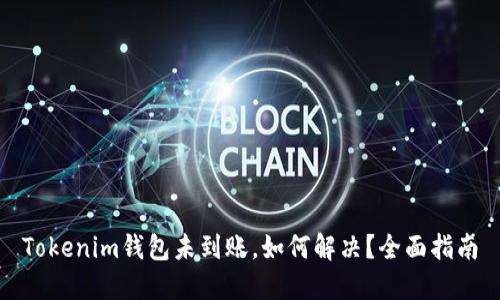 Tokenim钱包未到账，如何解决？全面指南