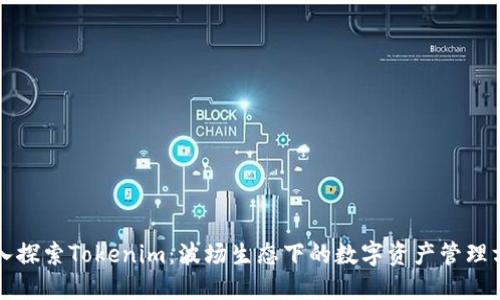 深入探索Tokenim：波场生态下的数字资产管理方案