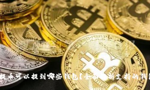 USDT提币可以提到哪些钱包？全面解析支持的钱包类型