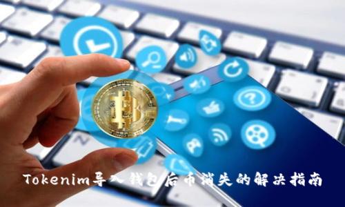 Tokenim导入钱包后币消失的解决指南