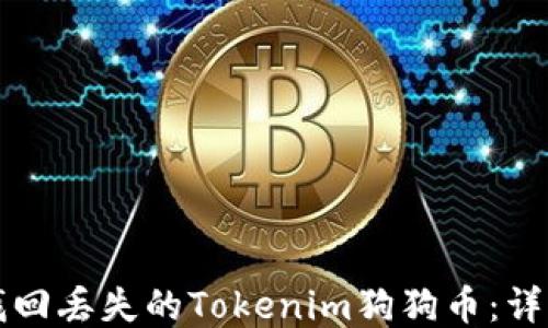 
如何找回丢失的Tokenim狗狗币：详细指南