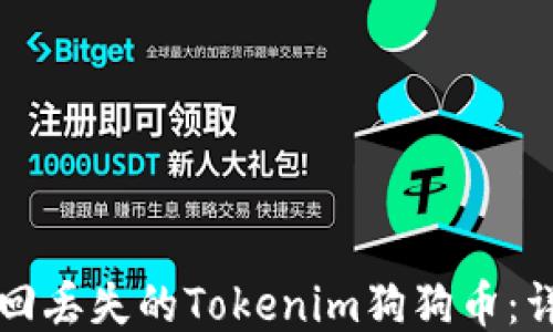 
如何找回丢失的Tokenim狗狗币：详细指南