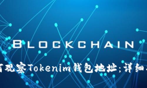 如何观察Tokenim钱包地址：详细指南