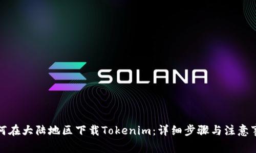 如何在大陆地区下载Tokenim：详细步骤与注意事项