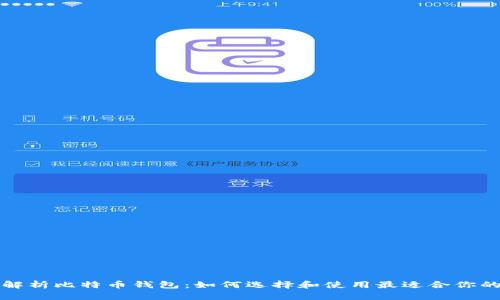 全面解析比特币钱包：如何选择和使用最适合你的钱包