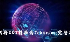 如何将DOT转换为Tokenim：完整指南