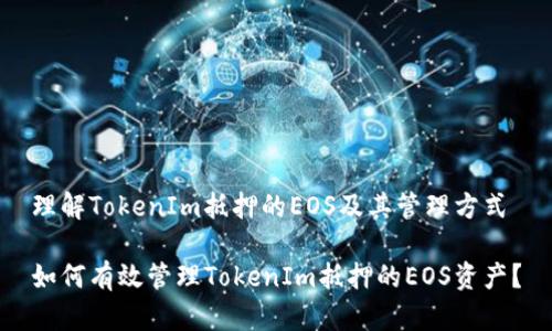 理解TokenIm抵押的EOS及其管理方式

如何有效管理TokenIm抵押的EOS资产？