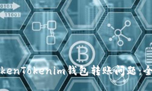 解决TokenTokenim钱包转账问题：全面指南