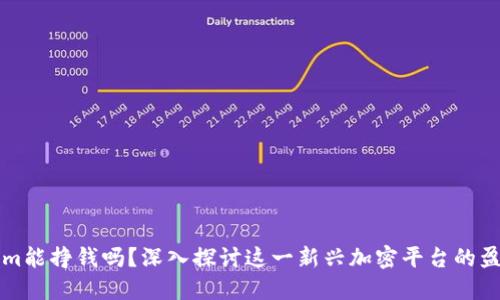 Tokenim能挣钱吗？深入探讨这一新兴加密平台的盈利潜力