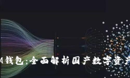 TokenTokenIM钱包：全面解析国产数字资产管理解决方案