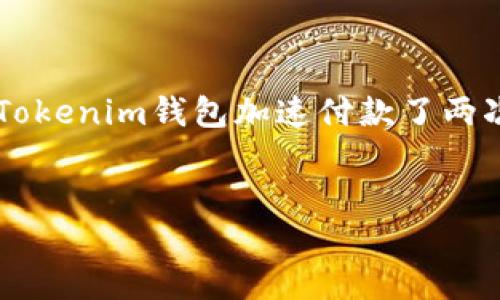 为了帮助你创建一个结构清晰且符合要求的内容，我将为“Tokenim钱包加速付款了两次”这一主题生成一个适合的、关键词、内容大纲及相关问题。


Tokenim钱包使用指南：如何高效加速付款交易