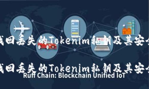 如何找回丢失的Tokenim私钥及其安全措施

如何找回丢失的Tokenim私钥及其安全措施