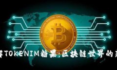 深入了解TOKENIM糖果：区块