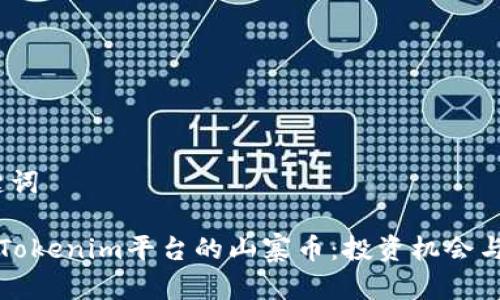 # 和关键词

深入了解Tokenim平台的山寨币：投资机会与风险分析