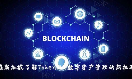 在新加坡了解TokenIM：数字资产管理的新机遇