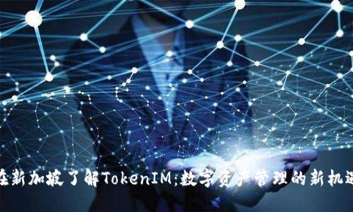 在新加坡了解TokenIM：数字资产管理的新机遇