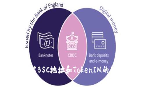 深入了解BSC地址和TokenIM的使用指南