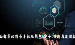 全面解析比特币手机版钱