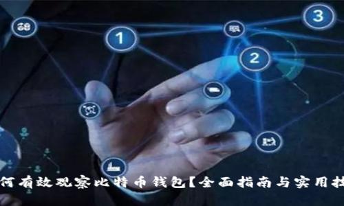 如何有效观察比特币钱包？全面指南与实用技巧