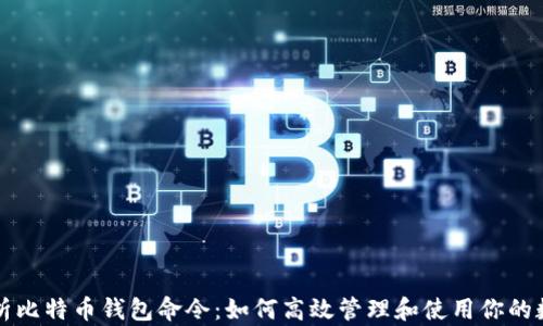 
全面解析比特币钱包命令：如何高效管理和使用你的数字资产