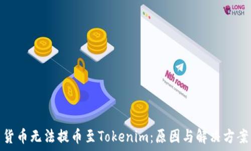   
货币无法提币至Tokenim：原因与解决方案