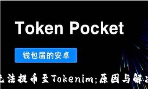   
货币无法提币至Tokenim：原因与解决方案