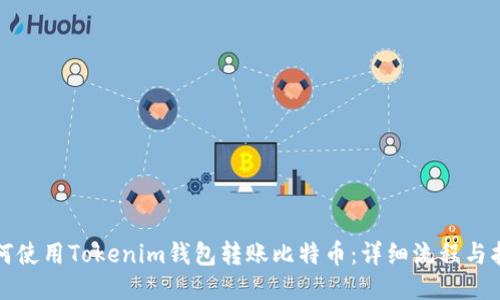 如何使用Tokenim钱包转账比特币：详细流程与指南