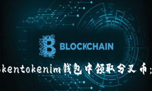 如何在Tokentokenim钱包中领取分叉币：完整指南