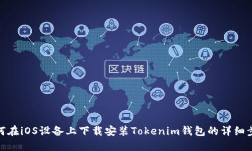 如何在iOS设备上下载安装Tokenim钱包的详细步骤