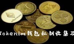 全面了解Tokenim钱包私钥收