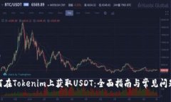 : 如何在Tokenim上获取USDT：