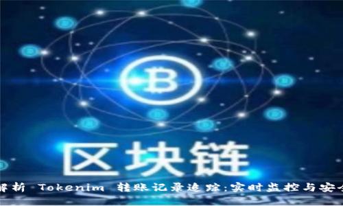 全面解析 Tokenim 转账记录追踪：实时监控与安全保障