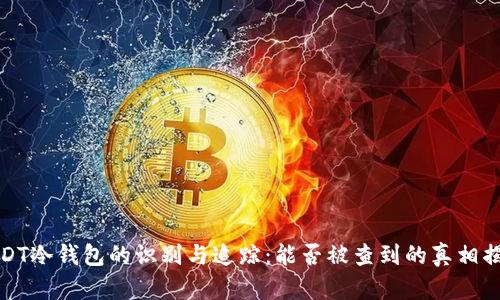 USDT冷钱包的识别与追踪：能否被查到的真相揭秘