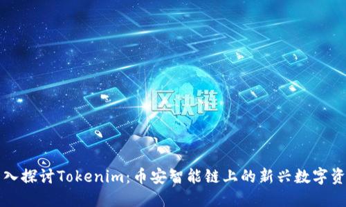 深入探讨Tokenim：币安智能链上的新兴数字资产