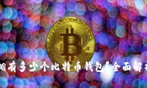 一个人可以拥有多少个比特币钱包？全面解析与管理指南