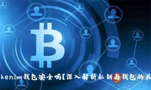 Tokenim钱包安全吗？深入解析私钥与钱包的关系