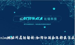 Tokenim地址所属链解析：如