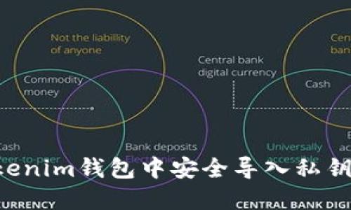 如何在Tokenim钱包中安全导入私钥：详细指南