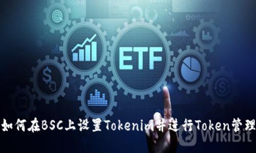 如何在BSC上设置Tokenim并进行Token管理