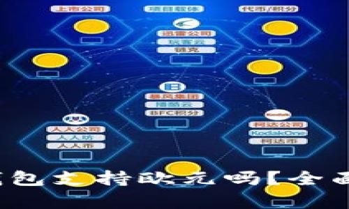 tokentokenim钱包支持欧元吗？全面解析与使用指南