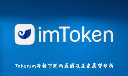 Tokenim价格下跌的原因及未来展望分析