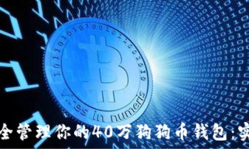   
如何安全管理你的40万狗狗币钱包：实用指南