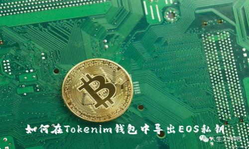 如何在Tokenim钱包中导出EOS私钥