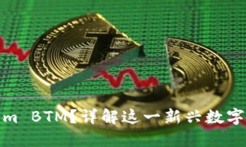 什么是Tokenim BTM？详解这一新兴数字资产的重要性