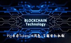 Pig币方TokenIM钱包：了解分