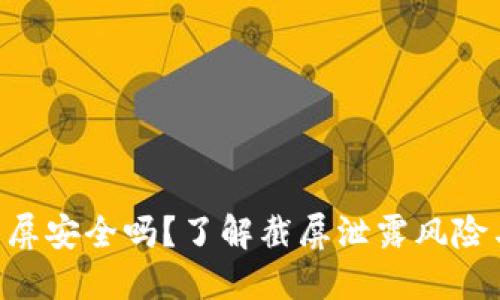 Tokenim截屏安全吗？了解截屏泄露风险与防护措施